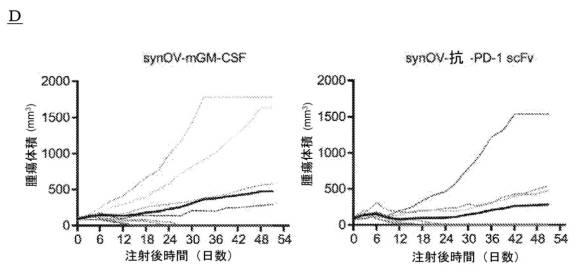 6961788-プログラム可能な腫瘍溶解性ウイルスワクチン系及びその適用 図000079