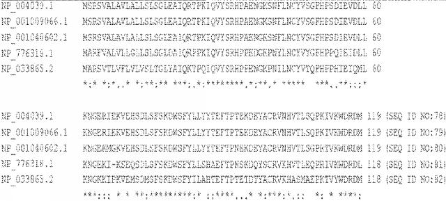 6652680-ｓｙｎＴａｃポリペプチド及びその使用 図000080