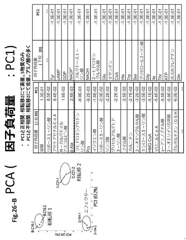 6954682-ヒト機能性角膜内皮細胞およびその応用 図000080