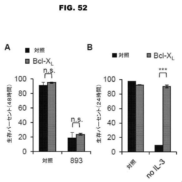 6853539-合成スフィンゴ脂質様分子、薬物、これらの合成方法、および処置方法 図000081