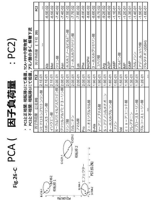 6954682-ヒト機能性角膜内皮細胞およびその応用 図000081