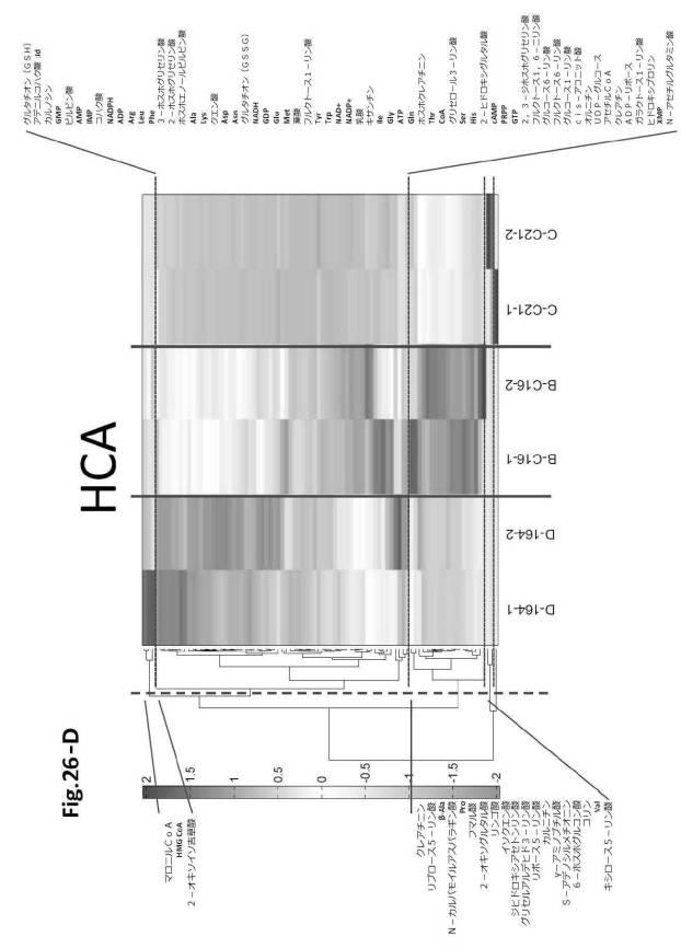 6954682-ヒト機能性角膜内皮細胞およびその応用 図000082