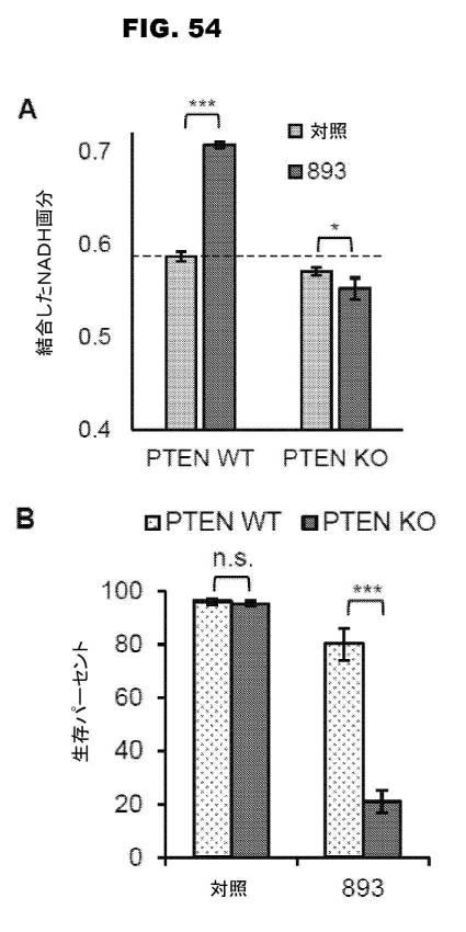 6853539-合成スフィンゴ脂質様分子、薬物、これらの合成方法、および処置方法 図000085