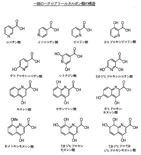 6505822-メチルフェニデート−プロドラッグ、その製造法及び使用法 図000086