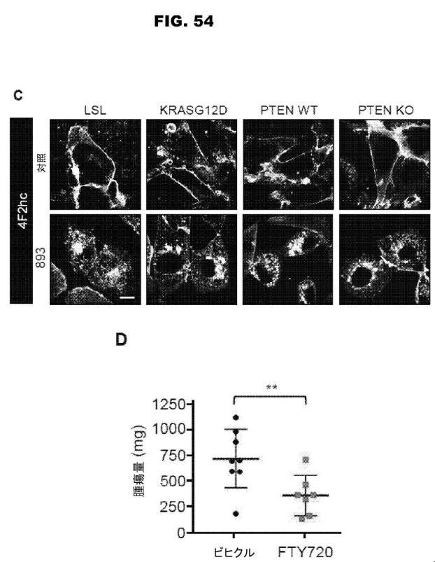 6853539-合成スフィンゴ脂質様分子、薬物、これらの合成方法、および処置方法 図000086