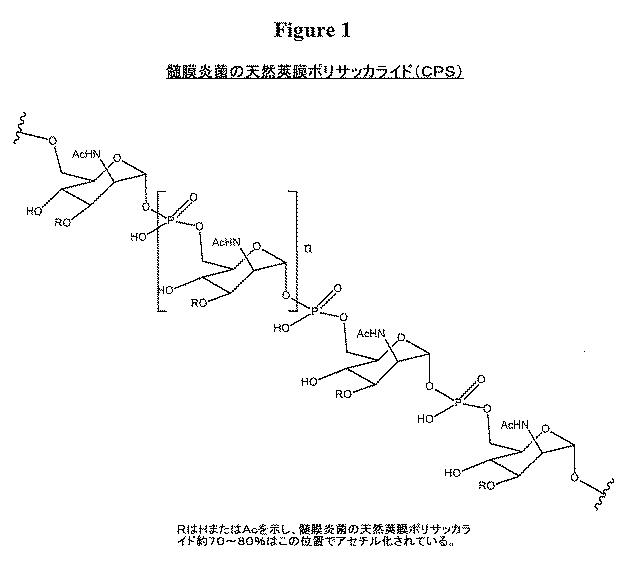 5699174-髄膜炎Ａ型ワクチンのための免疫原 図000087