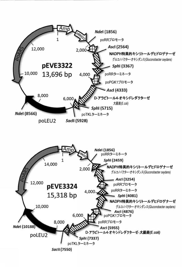 6537534-組換え株によるグルコースからのキシリトールの生産 図000087