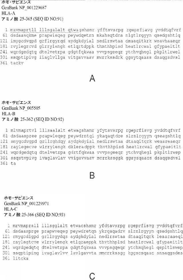 6652680-ｓｙｎＴａｃポリペプチド及びその使用 図000087