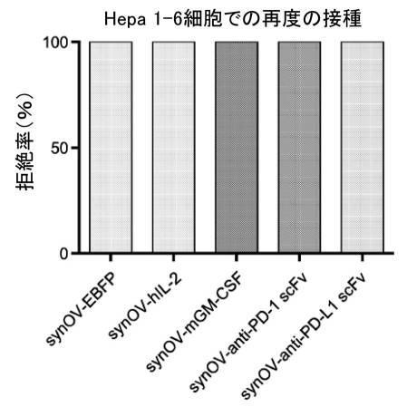 6961788-プログラム可能な腫瘍溶解性ウイルスワクチン系及びその適用 図000087