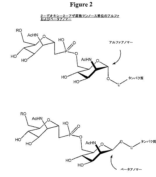 5699174-髄膜炎Ａ型ワクチンのための免疫原 図000088