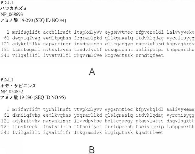 6652680-ｓｙｎＴａｃポリペプチド及びその使用 図000088