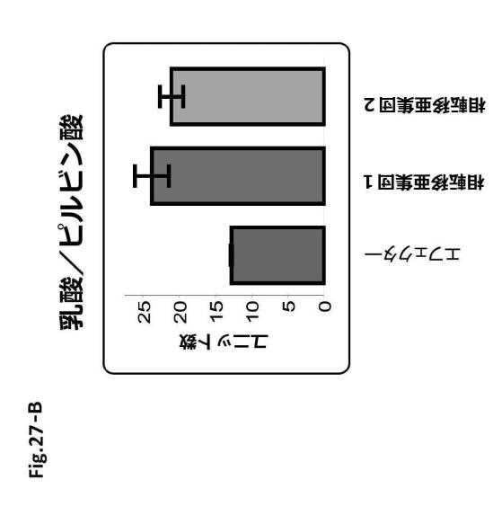 6954682-ヒト機能性角膜内皮細胞およびその応用 図000088