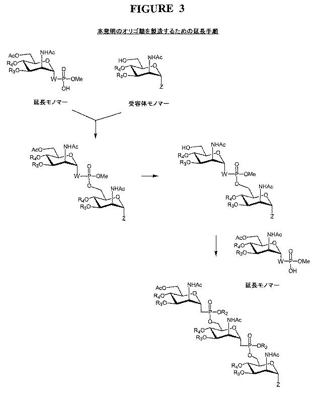 5699174-髄膜炎Ａ型ワクチンのための免疫原 図000089