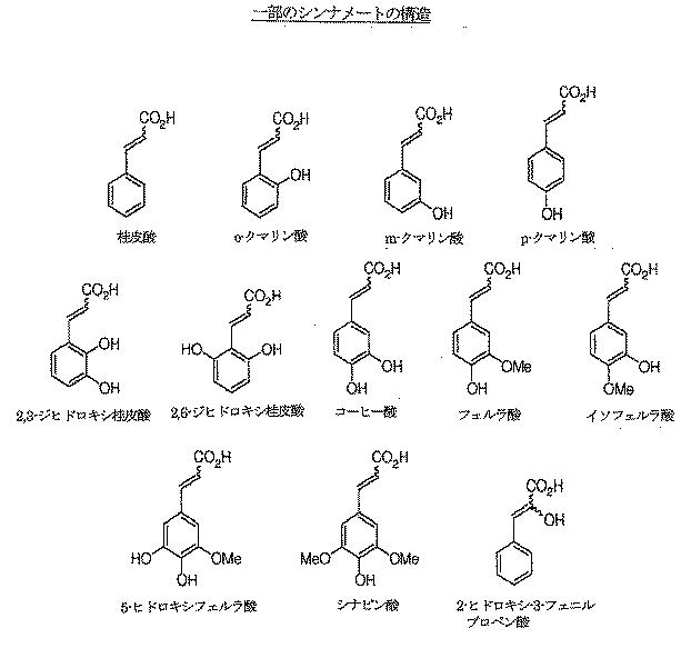 6505822-メチルフェニデート−プロドラッグ、その製造法及び使用法 図000089