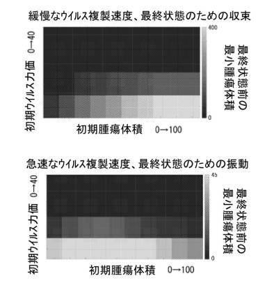 6961788-プログラム可能な腫瘍溶解性ウイルスワクチン系及びその適用 図000089