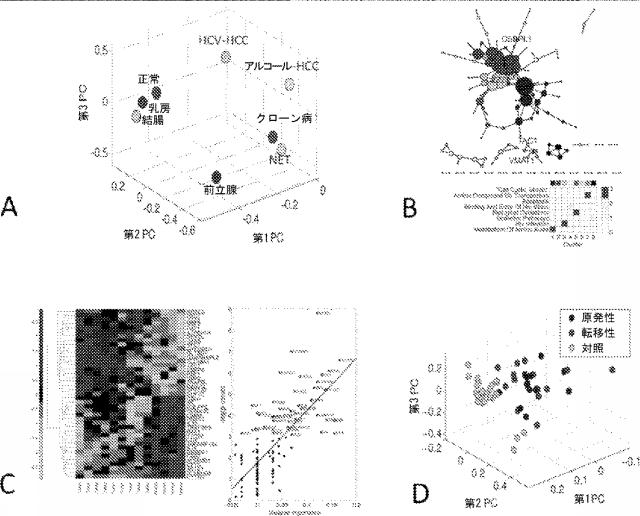 6321233-胃腸膵神経内分泌新生物（ＧＥＰ−ＮＥＮ）の予測方法 図000090