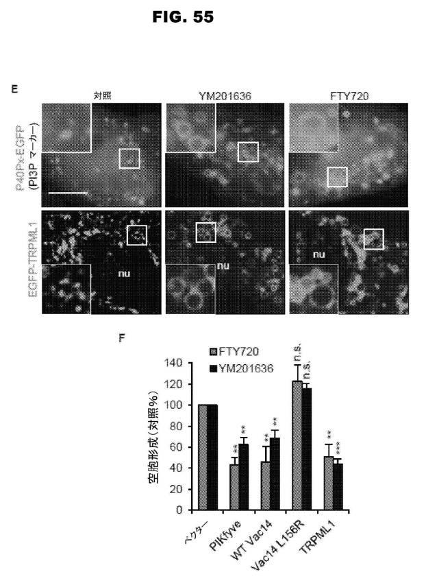 6853539-合成スフィンゴ脂質様分子、薬物、これらの合成方法、および処置方法 図000090