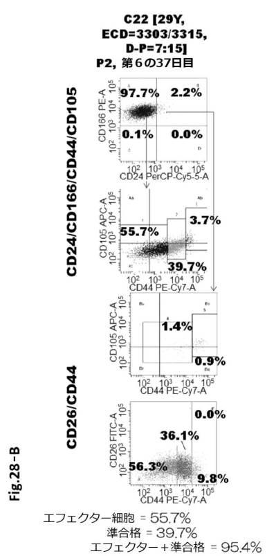 6954682-ヒト機能性角膜内皮細胞およびその応用 図000091