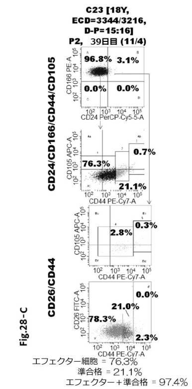 6954682-ヒト機能性角膜内皮細胞およびその応用 図000092