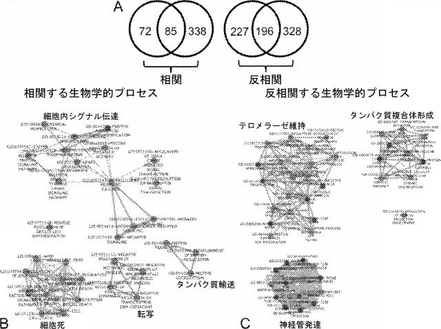 6321233-胃腸膵神経内分泌新生物（ＧＥＰ−ＮＥＮ）の予測方法 図000093