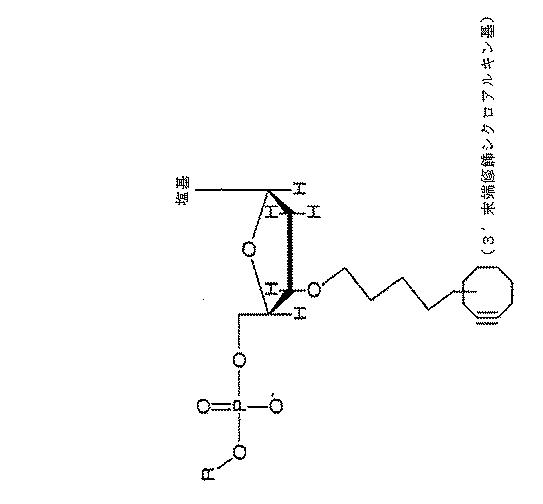 6910295-診断治療融合的な応用のための方法及びキット 図000093