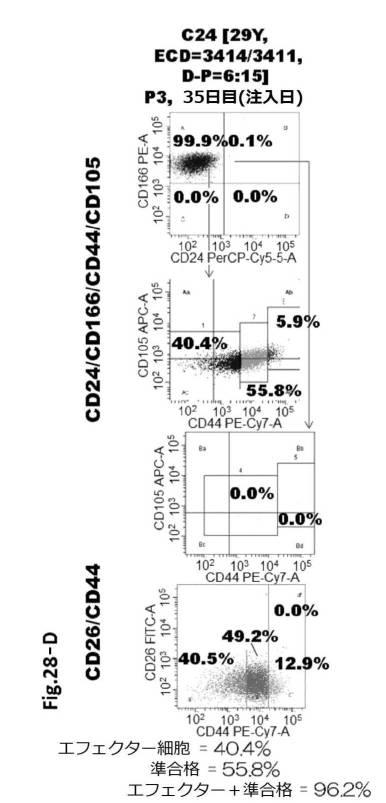 6954682-ヒト機能性角膜内皮細胞およびその応用 図000093