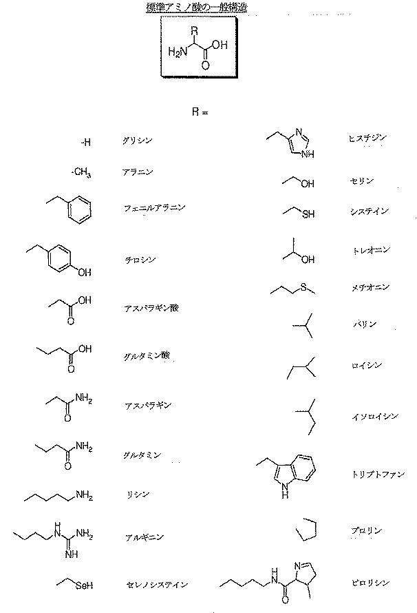 6505822-メチルフェニデート−プロドラッグ、その製造法及び使用法 図000094