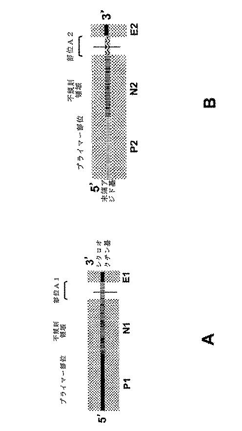 6910295-診断治療融合的な応用のための方法及びキット 図000094