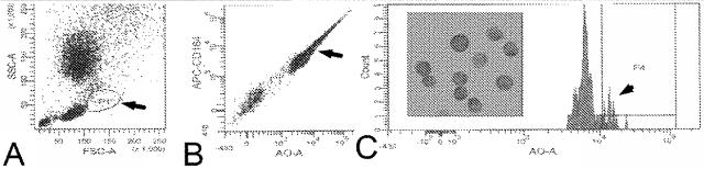 6321233-胃腸膵神経内分泌新生物（ＧＥＰ−ＮＥＮ）の予測方法 図000095