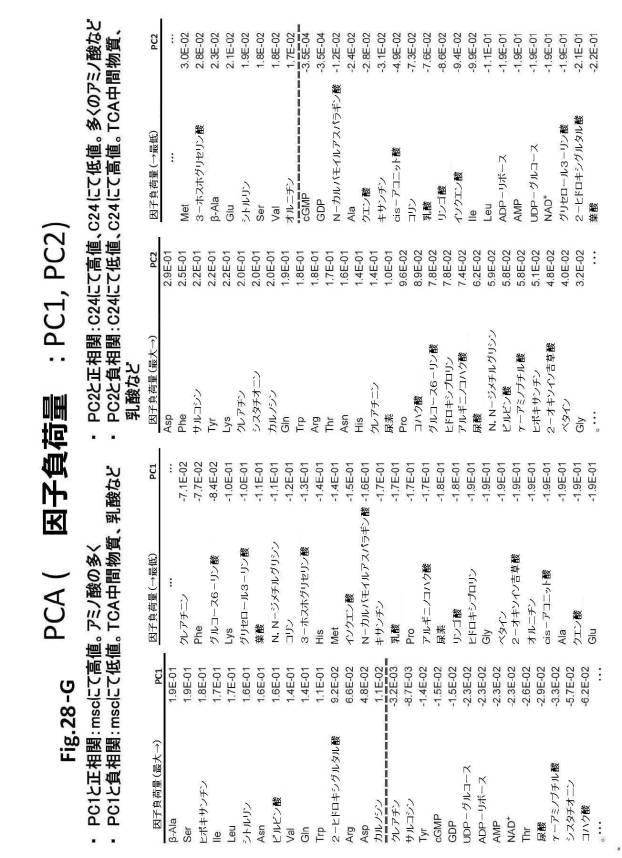 6954682-ヒト機能性角膜内皮細胞およびその応用 図000096