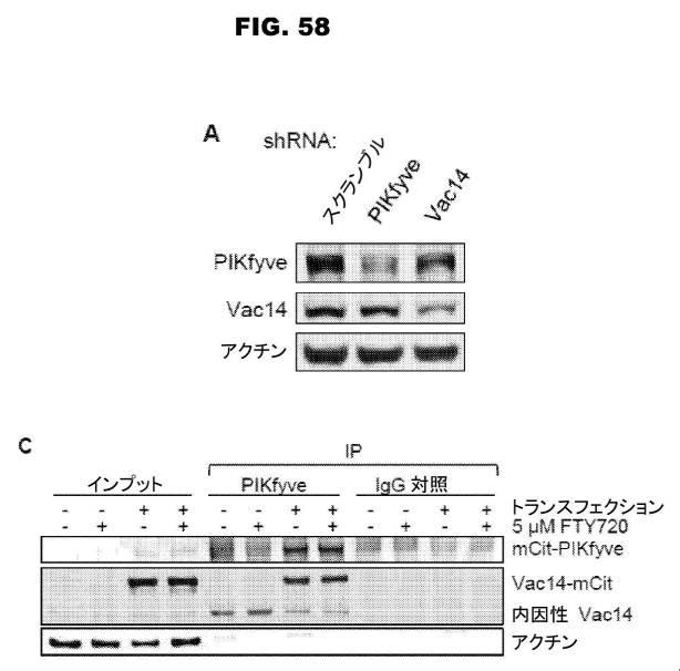 6853539-合成スフィンゴ脂質様分子、薬物、これらの合成方法、および処置方法 図000097