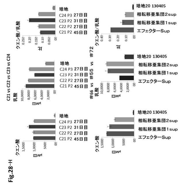 6954682-ヒト機能性角膜内皮細胞およびその応用 図000097