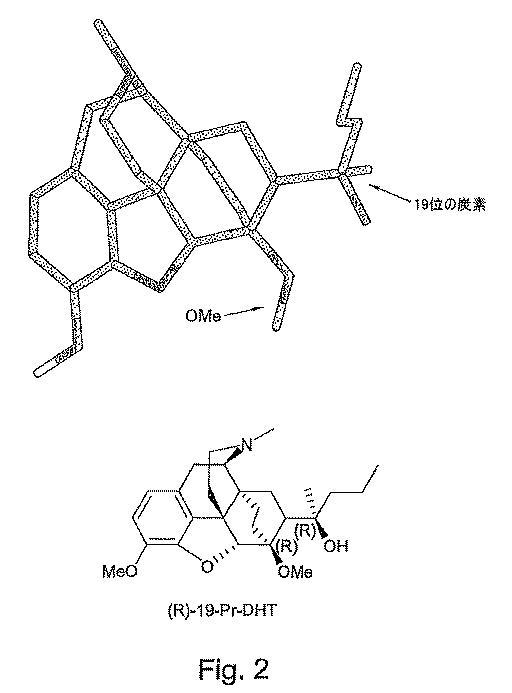 5787764-ジヒドロエトルフィンおよびその調製 図000098