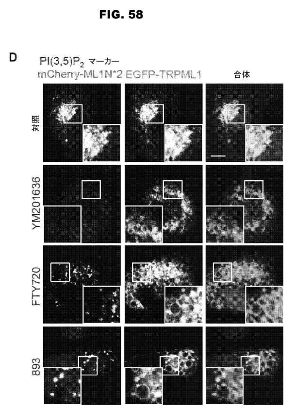 6853539-合成スフィンゴ脂質様分子、薬物、これらの合成方法、および処置方法 図000099