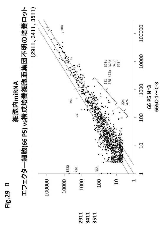 6954682-ヒト機能性角膜内皮細胞およびその応用 図000099