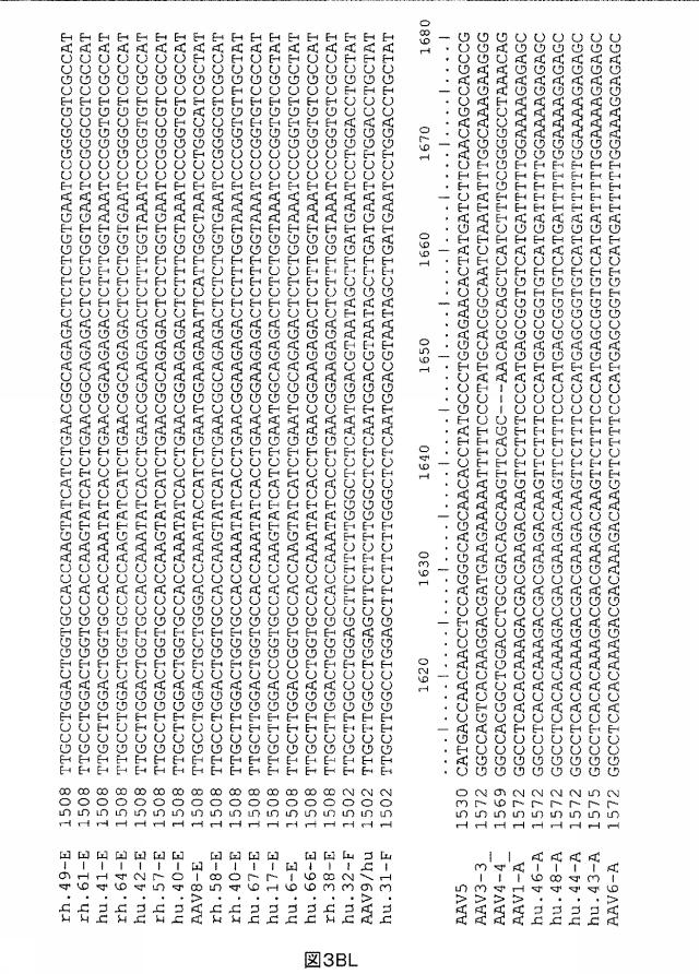 5797397-アデノ随伴ウイルス（ＡＡＶ）の同源系統群（クレイド）、配列、それらを含有するベクターおよびそれらの用途 図000100