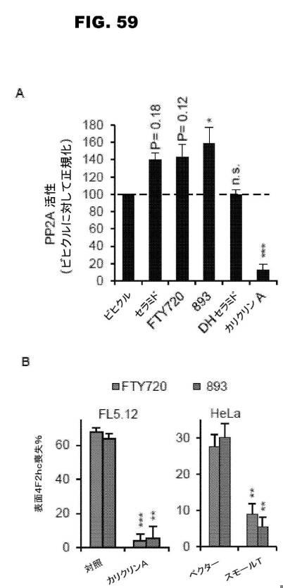 6853539-合成スフィンゴ脂質様分子、薬物、これらの合成方法、および処置方法 図000100