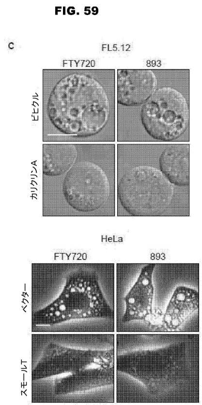 6853539-合成スフィンゴ脂質様分子、薬物、これらの合成方法、および処置方法 図000101