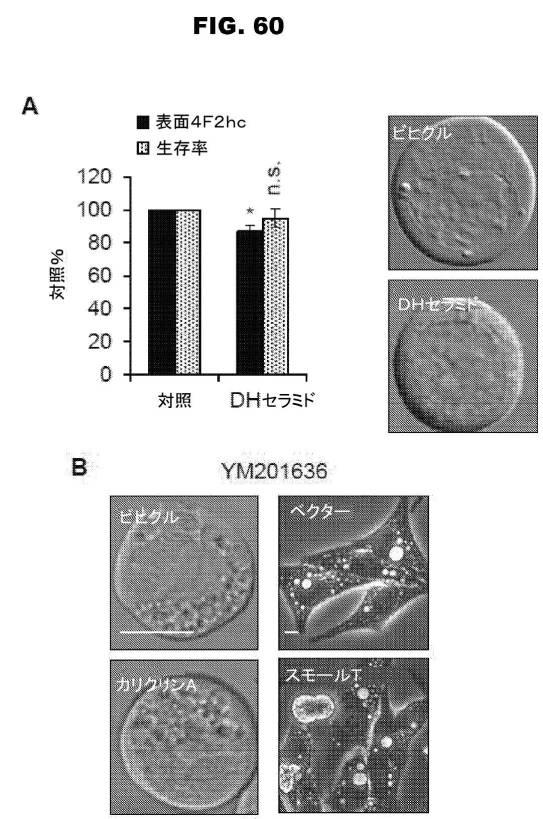 6853539-合成スフィンゴ脂質様分子、薬物、これらの合成方法、および処置方法 図000102