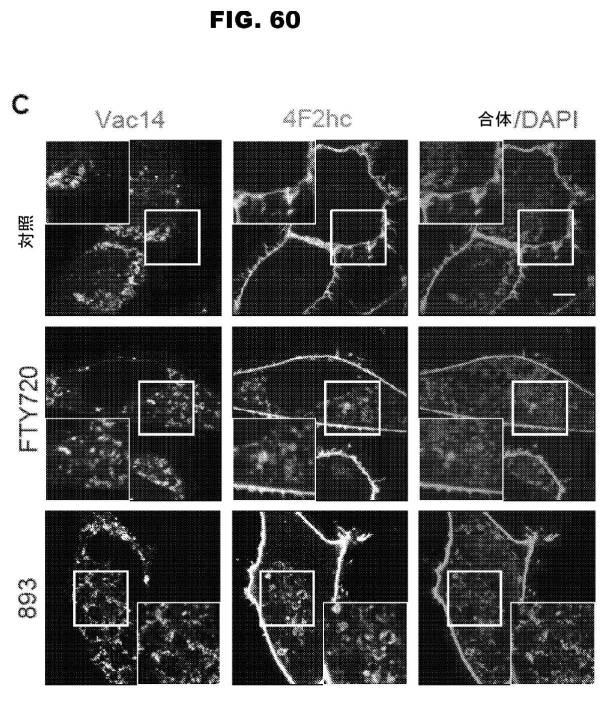 6853539-合成スフィンゴ脂質様分子、薬物、これらの合成方法、および処置方法 図000103