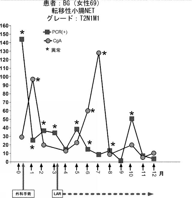 6321233-胃腸膵神経内分泌新生物（ＧＥＰ−ＮＥＮ）の予測方法 図000104