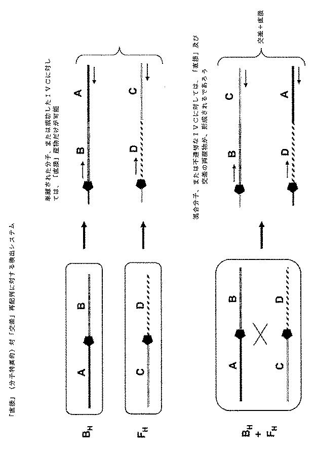 6910295-診断治療融合的な応用のための方法及びキット 図000104