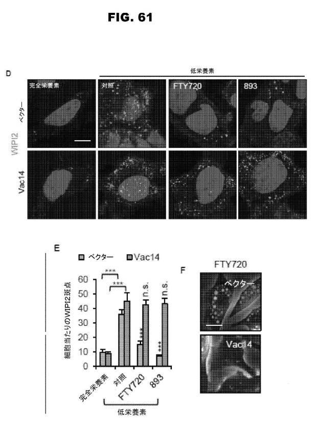 6853539-合成スフィンゴ脂質様分子、薬物、これらの合成方法、および処置方法 図000106