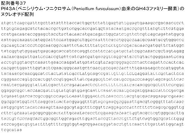 6290626-糖化プロセスにおける粘度を低下させる方法 図000107