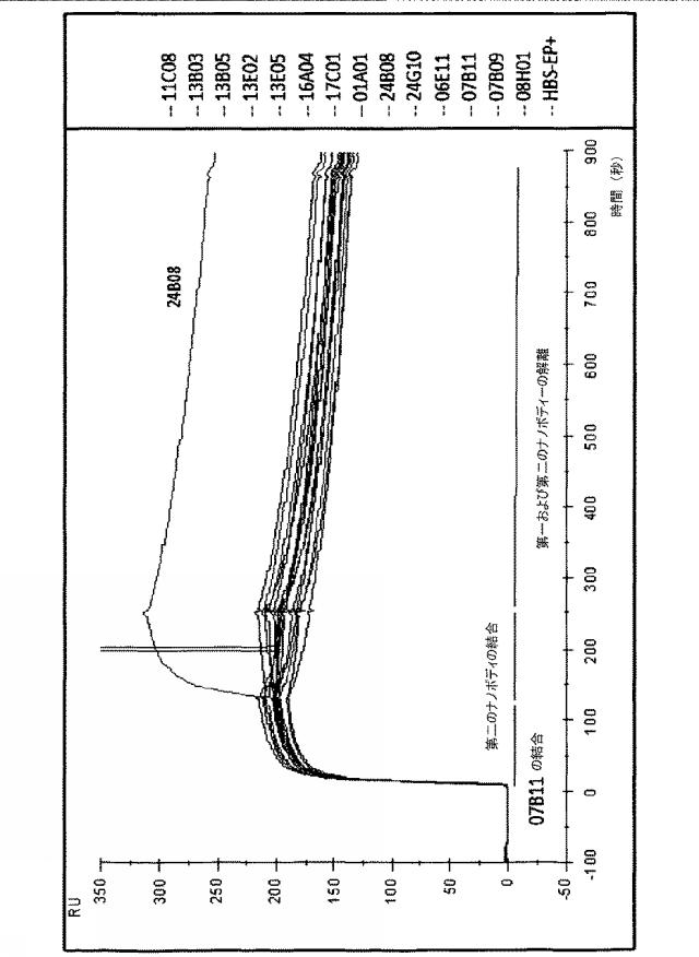 6768027-ＩＬ−１７Ａ、ＩＬ−１７Ｆおよび／またはＩＬ１７−Ａ／Ｆに対するアミノ酸配列および前記アミノ酸配列を含むポリペプチド 図000107