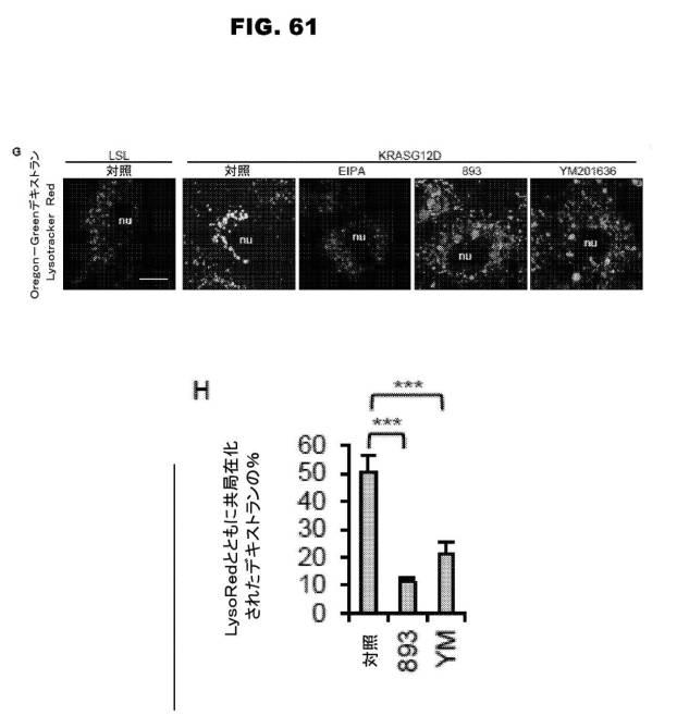 6853539-合成スフィンゴ脂質様分子、薬物、これらの合成方法、および処置方法 図000107