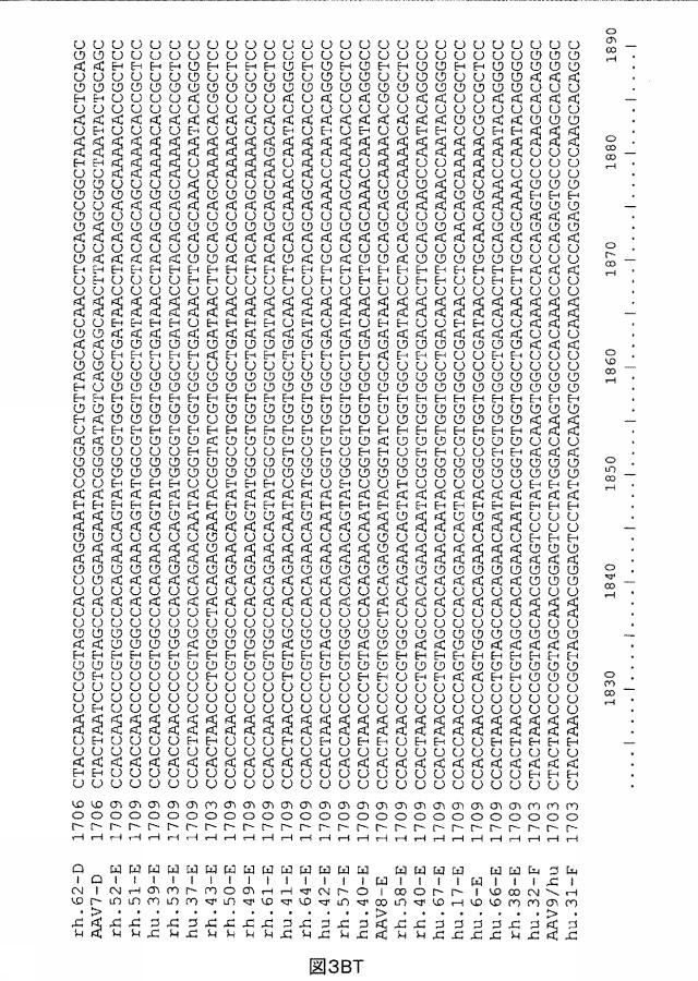 5797397-アデノ随伴ウイルス（ＡＡＶ）の同源系統群（クレイド）、配列、それらを含有するベクターおよびそれらの用途 図000108