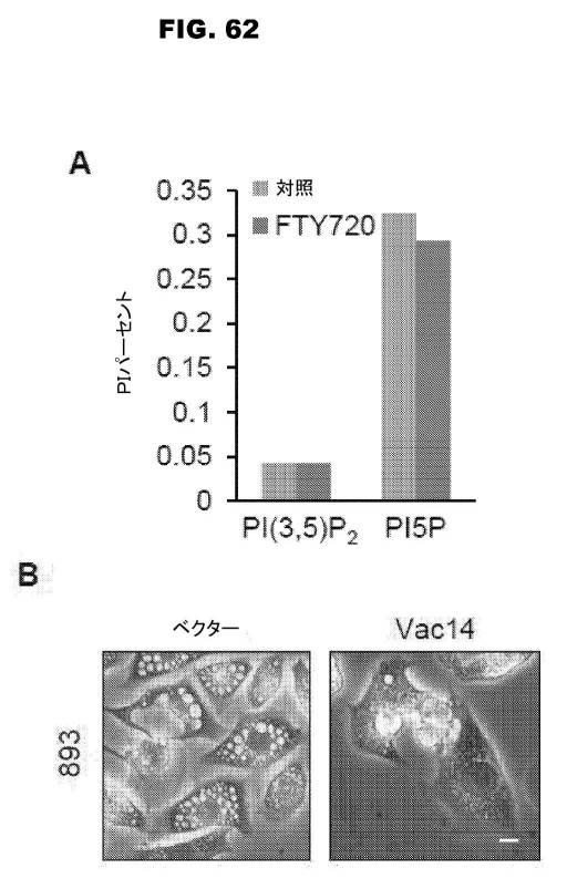 6853539-合成スフィンゴ脂質様分子、薬物、これらの合成方法、および処置方法 図000108