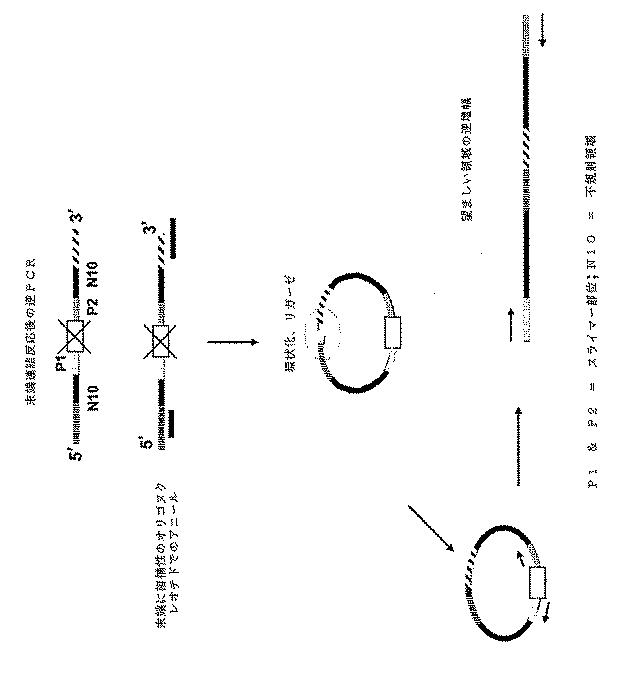 6910295-診断治療融合的な応用のための方法及びキット 図000108