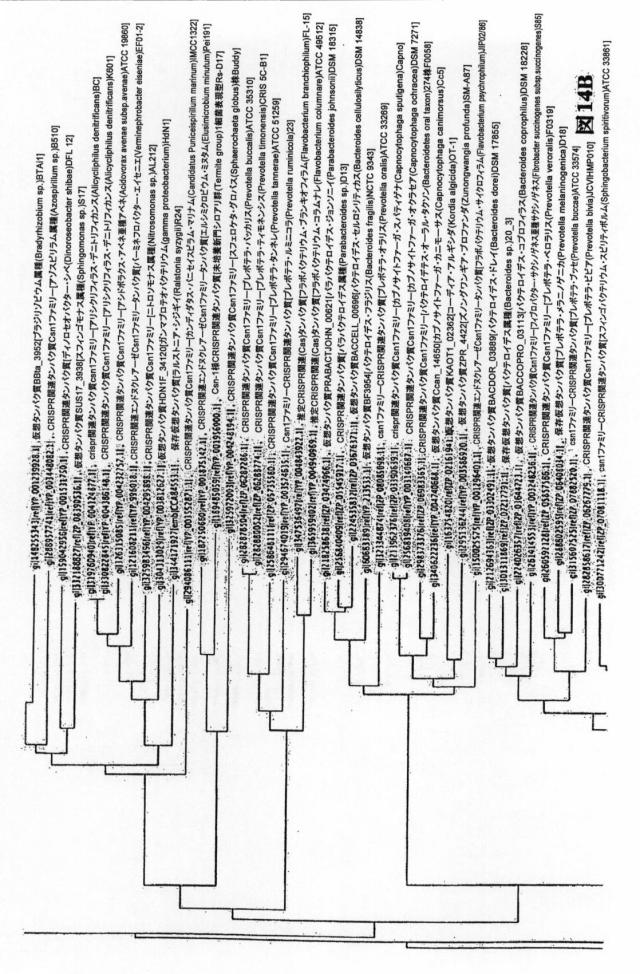 6203879-配列操作のための系、方法および最適化ガイド組成物のエンジニアリング 図000109